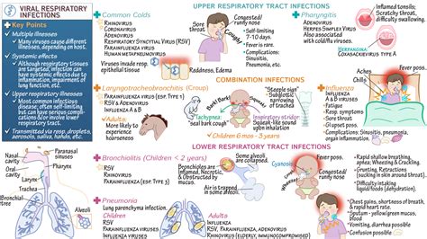 Holter Pathology Ohio University Viral Respiratory Infections Draw It To Know It