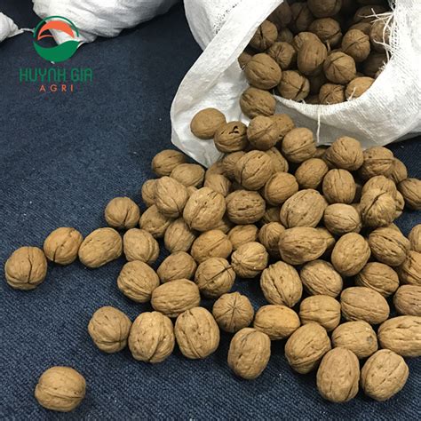 Bulk American Walnuts - HUYNH GIA AGRI JSC