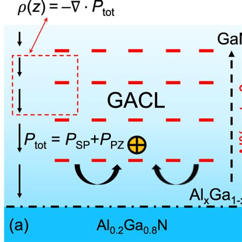 The Schematic Illustration Of The Polarization Induced Hole Doping In