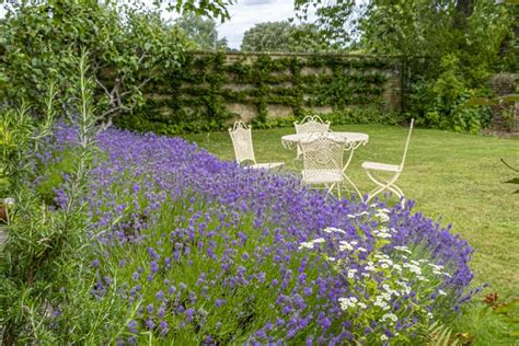 Planting at Moreton-in-Marsh Stock Photo - Image of bloom, europe ...