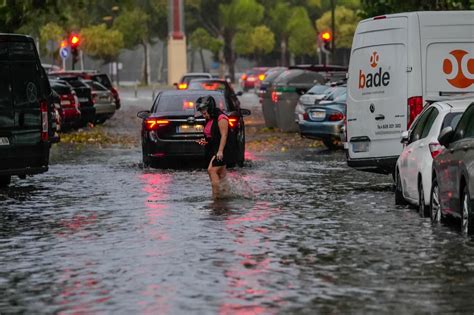 La Borrasca Aline Se Ceba Con Los Rboles De Sevilla E Inunda Parte De