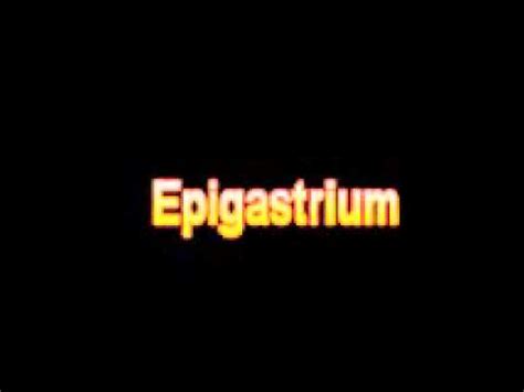 What Is The Definition Of Epigastrium - Medical Dictionary Free Online ...