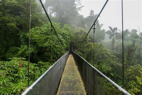 Arenal Hanging Bridges Half Day Tour From La Fortuna Getyourguide