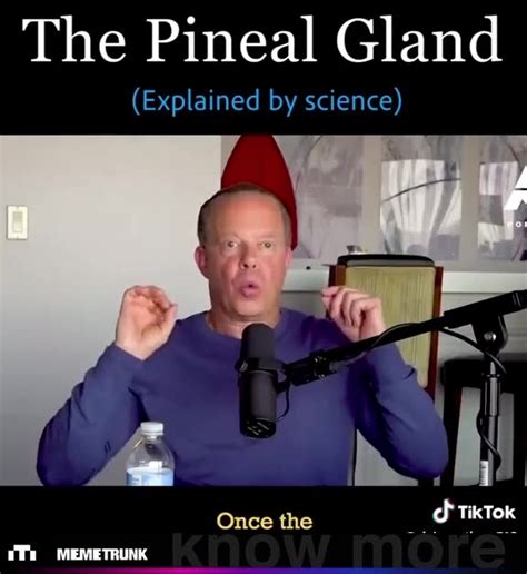 The Pineal Gland (Joe Dispenza)