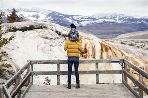 Best Time To Visit Yellowstone National Park Lonely Planet