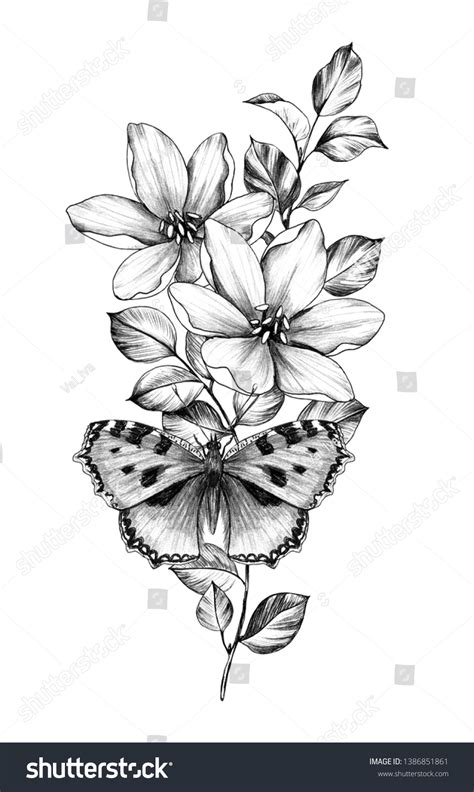 Hand drawn butterfly with flowers isolated on - Royalty Free Stock Photo 1386851861 - Avopix.com