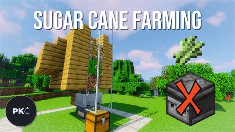 Minecraft Sugar Cane Farm Design