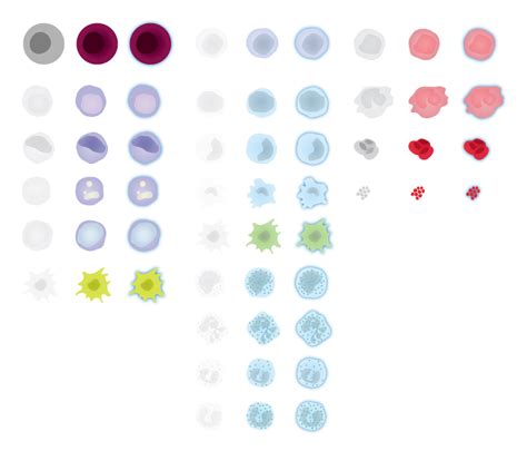 Hematopoietic Stem Cells & Lineage-specific Markers: R&D Systems