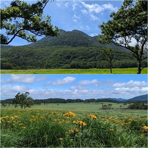 「小暑」の九重山麓花散歩。 そうだ！山に登ろう