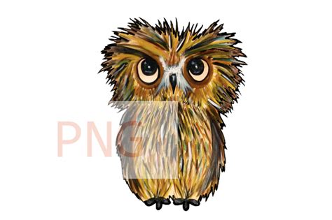 Funny Owl Watercolor Png Clip Art Graphic by 988 studio Jay · Creative ...