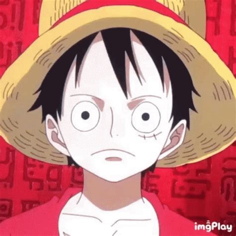 Luffy Wano Gif : Luffy Wano Gif Pfp Luffy Gifs Tenor Luffy S Conqueror ...