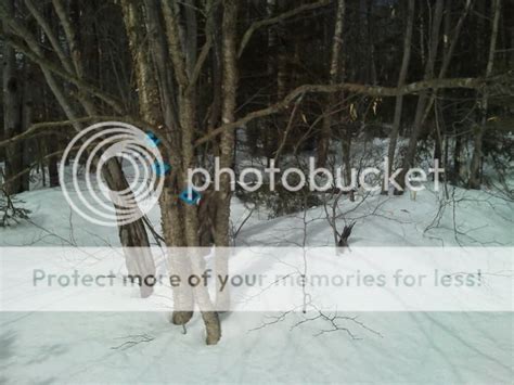 Stratton Pond 3.29.13 - Other Mountains - paskiandride