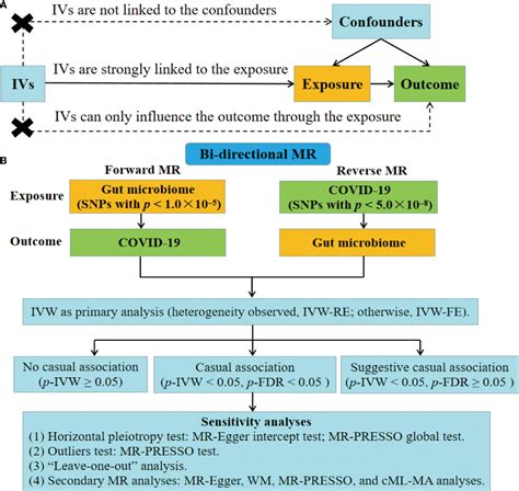 Frontiers Genetic Support Of The Causal Association Between Gut