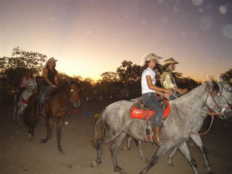 Nova F Tima Bahia Festa Dos Vaqueiros E Fazendeiros