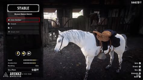 Red Dead Redemption 2: how to get the best wild horse - VG247