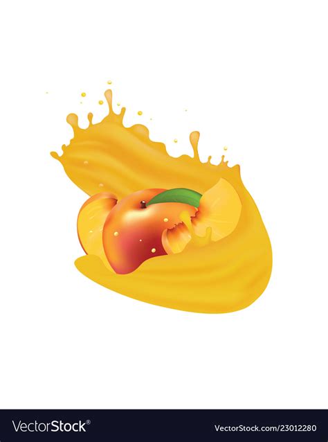 Peach Juice Splash Royalty Free Vector Image Vectorstock