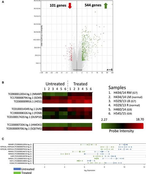 Whole Transcriptome Analysis Reveals Activation Of Multiple Signalling