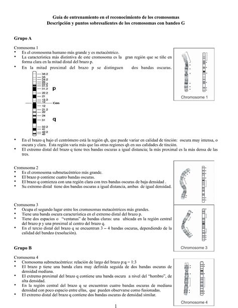 SOLUTION Descripci N De Los Cromosomas Studypool