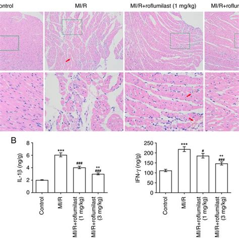 Roflumilast Attenuates MI R Induced Myocardial Injury A Changes Of