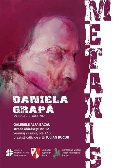 Expozi Ie Daniela Grap Muzeul De Art Din Cadrul Complexului Muzeal