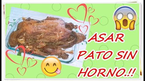 Como Hacer PATO ASADO En Salsa En Hornilla Marinado Casero RECETA DE