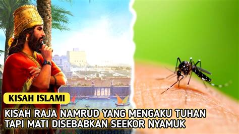 Kisah Raja Namrud Mengaku Tuhan Tapi Mati Disebabkan Seekor Nyamuk