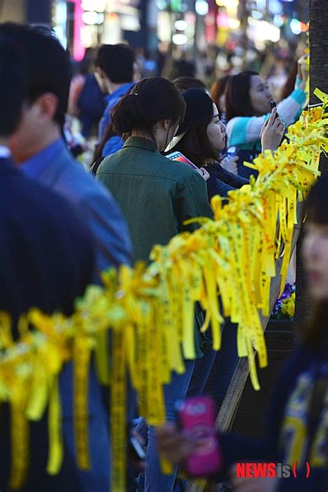 세월호 참사 노란 리본 달며 세월호 실종자 무사 귀환 기원 네이트 뉴스