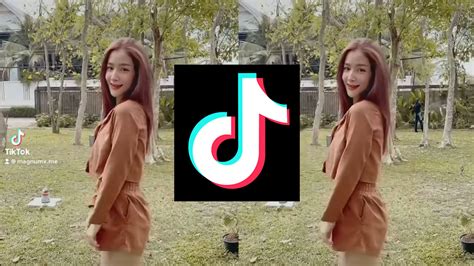 วิธีลบลายน้ำคลิปวิดีโอ Tiktok แบบง่ายๆ Photofleem