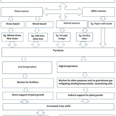 A Flow Diagram Showing Biochar Sources And Contribution For Crop Production Download