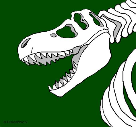 Disegno Scheletro Di Tyrannosaurus Rex Colorato Da Utente Non