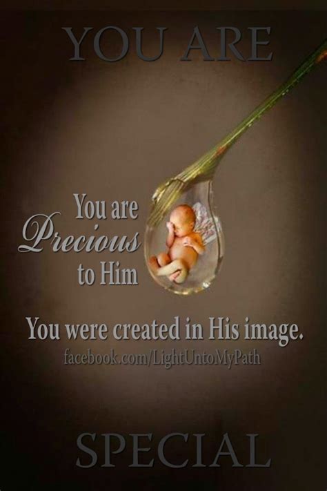 Life Is Precious Quotes Bible Walker Daly