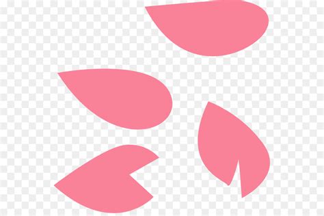 Cherry Blossom Petal Vector At Getdrawings Free Download