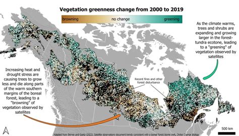 Canada's great expanse of boreal forest is changing due to climate ...