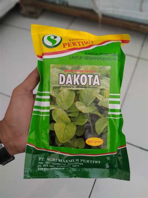 Benih Bayam Pertiwi Dakota 500g Lazada Indonesia