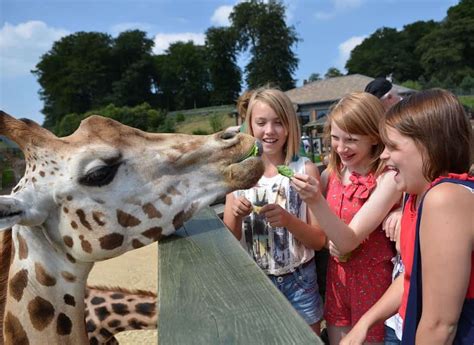 Longleat Safari And Adventure Park The Tourist Trail