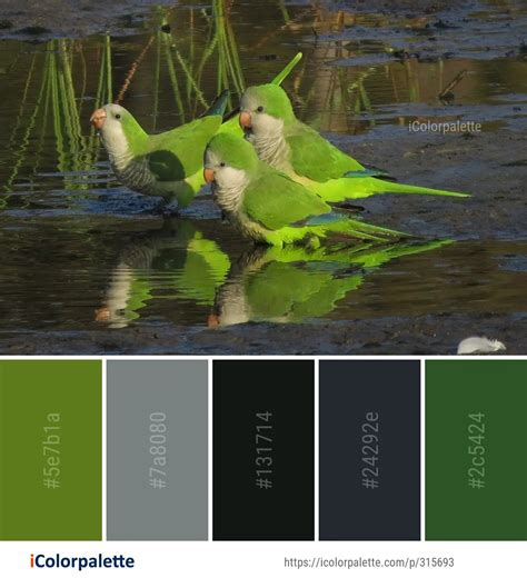 Color Palette Ideas from Bird Parrot Macaw Image | iColorpalette