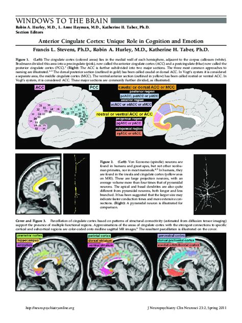 (PDF) Anterior Cingulate Cortex: Unique Role in Cognition and Emotion WINDOWS TO THE BRAIN