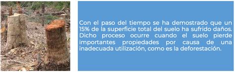 La Importancia De Los Suelos Y Las Actividades Humanas Que Lo Degradan