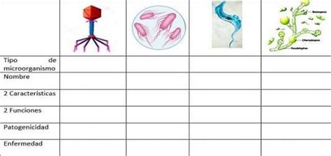 Sobre Agentes Patógenos Completa La Tabla Con Los Agentes Patógenos Indicando En Lo Que Se