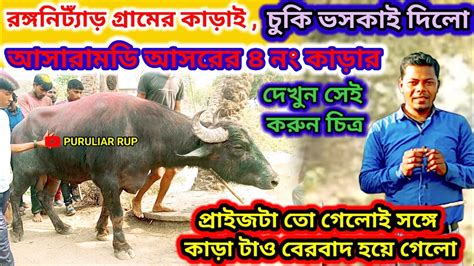 আসারামডি আসরের ৪ নং কাড়া লড়াই এর পরের অবস্থা Youtube