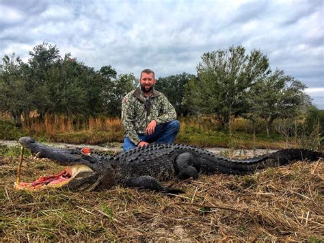 Gator Hunt Reports – Trophy Florida Gator Hunting By Get Bit OutDoors