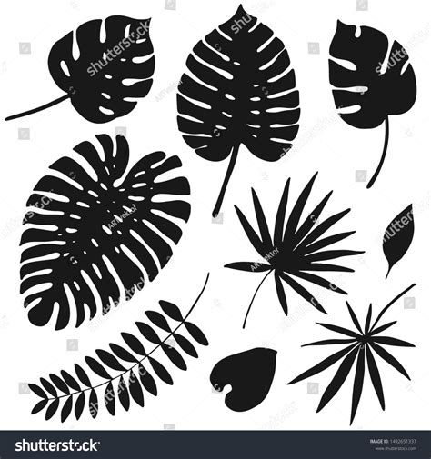 Set Hand Drawn Silhouettes Tropical Leaves Stock Vector Royalty Free