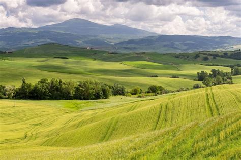 Premium Photo Verdant Farmland In Val Dorcia Tuscany