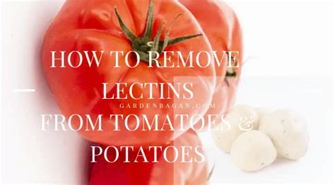 Removing Lectins From Potatoes A Step By Step Guide Planthd