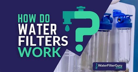 How Do Water Filters Work