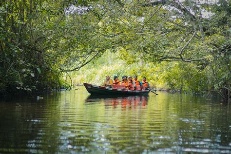 KURI TOURS Turismo En Tarapoto Tarapoto Naturaleza Plena 4D 3N