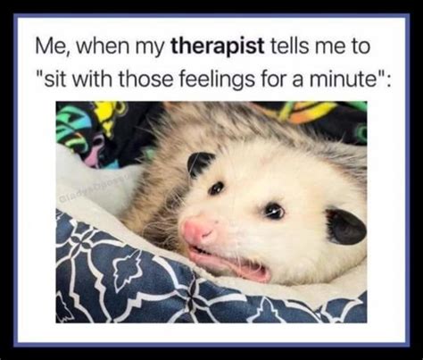 Opossum Meme - Spoonie pics - DDlg Forum & Community