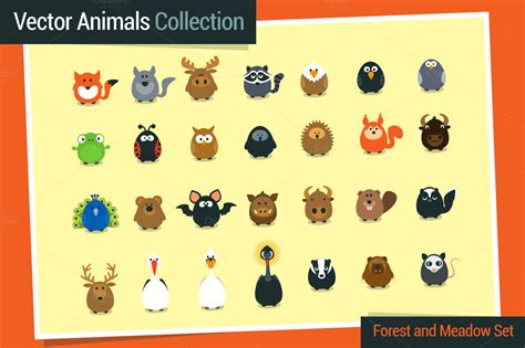 Forest and Meadow Animals Set ~ Illustrations on Creative Market