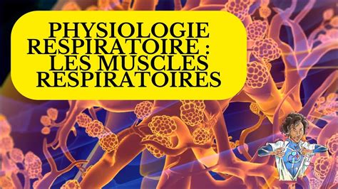 Physiologie Respiratoire Les Muscles Respiratoires Youtube