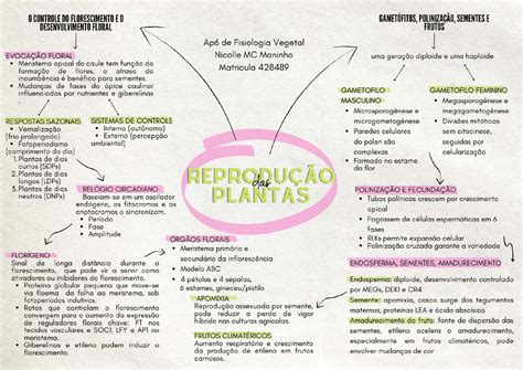 Reprodução Das Plantas Mapa Mental LIBRAIN